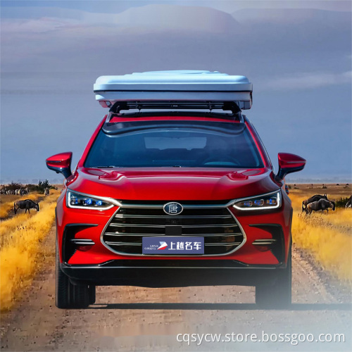 2023 New Energy Vehicles Electric Car Adult byd Suv second hand cars electric cars made in china